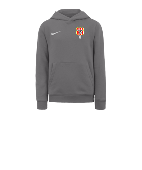 Sweat à capuche en polaire Nike Park 20 enfants Gris blanc F071