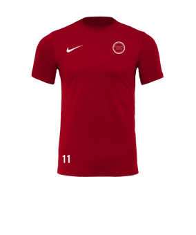 Nike Park VII Trikot kurzarm Rot F657