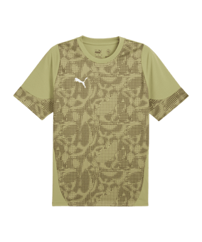 PUMA teamCUP Trikot Grün F40 - gruen