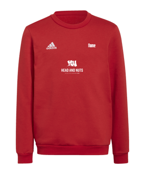 adidas Entrada 22 Sweatshirt Kids Rot