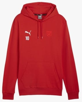 PUMA teamGOAL Casuals Hoody Rot F01