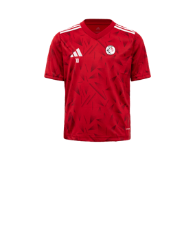 adidas Team Icon 25 Maillot Enfants Rouge 