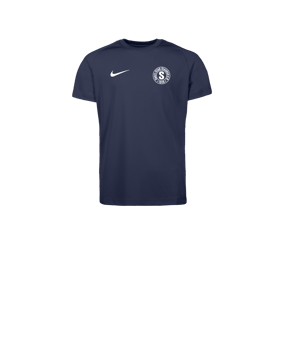 Nike Park VIII Trikot Kids Blau F410