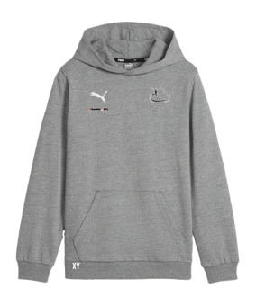 PUMA teamGOAL Casuals Hoody Kids Grau F33