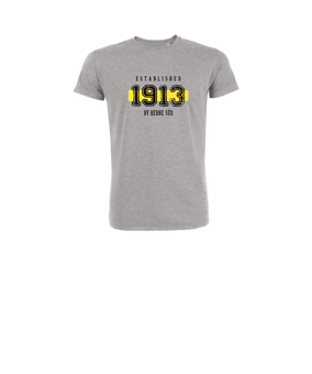 Merch Mini Creator 2.0 T-Shirt Kids Heather Grey | #established