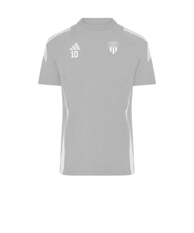 adidas Tiro 24 T-Shirt Grau Weiss