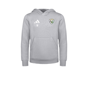 adidas Entrada 26 Sweatshirt à capuche Enfants Gris