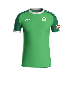 JAKO Iconic Trikot Grün F222