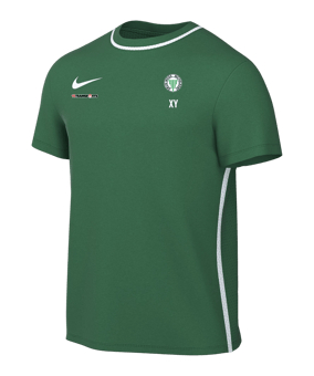 Nike Park 26 Trainingsshirt Grün F302
