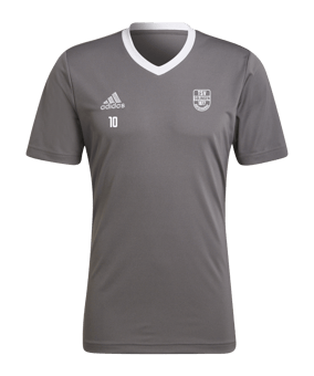 adidas Entrada 22 Trikot Grau Weiss