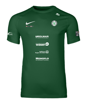 Nike Park VIII Trikot Kids Grün F302