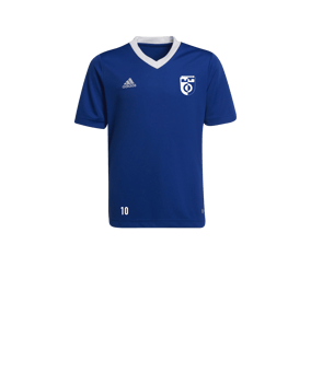 adidas Entrada 22 Trikot Kids Blau Weiss
