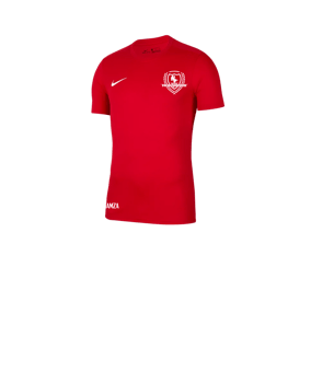 Nike Park VII Trikot kurzarm Kids Rot F657