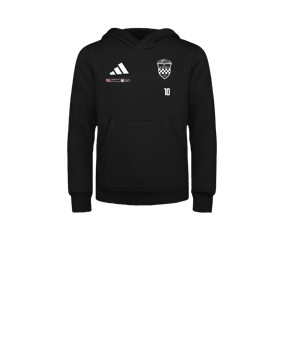 adidas Entrada 26 Hoody Kids Schwarz