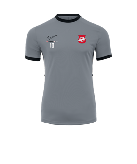 Nike Academy 25 Trainingsshirt Grau F012