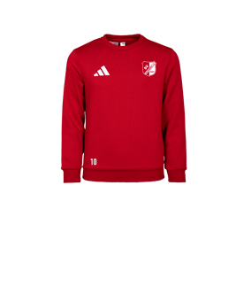 adidas Entrada 26 Sweatshirt Kids Rot