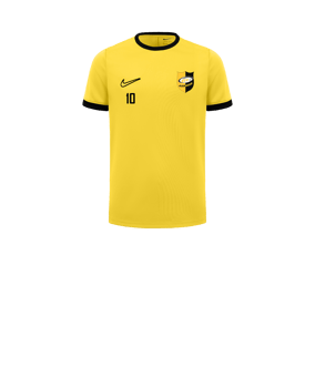 Nike Academy 25 Trainingsshirt Kids Gelb F719