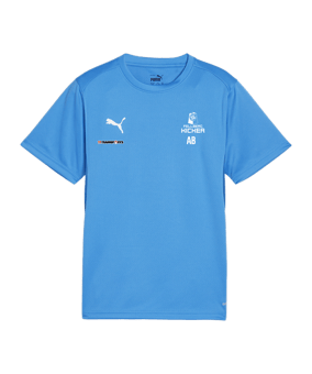 PUMA teamGOAL Trikot Kids Blau F02