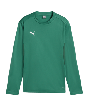 PUMA teamGOAL Training Sweatshirt Kids Grün F05 - gruen