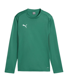PUMA teamGOAL Training Sweatshirt Kids Grün F05 - gruen