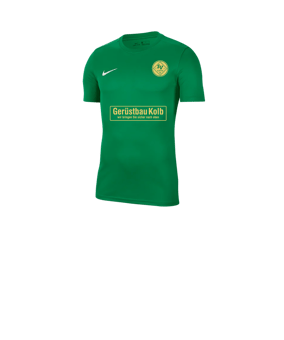Nike Park VII Trikot kurzarm Kids Grün F302