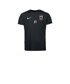 Nike Park VIII Trikot Kids Schwarz F010