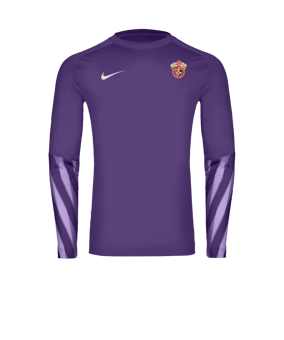 Nike Park V Trikot langarm Lila F507
