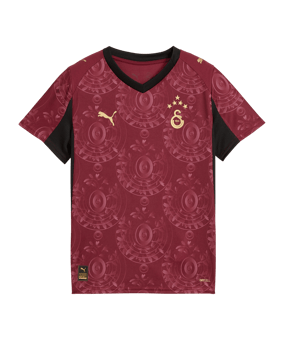 PUMA Galatasaray Istanbul Shirt 3rd 2025/2026 Kids Rood K03 - rood