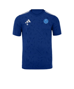 Maillot adidas équipe Icon 25 bleu 