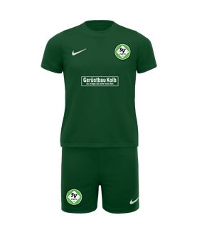 Nike Park 20 Trikot Set Kids Grün F302