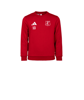 adidas Entrada 26 Sweatshirt Kids Rot