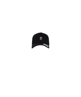 Merch 5 Panel Curved Snapback Cap Schwarz  | #logo4c