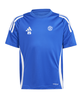 adidas Tiro 24 Trikot Kids Blau Weiss 
