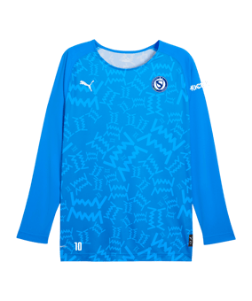PUMA Teamjaws Graphic Ls Shooting Hemd Blau F07