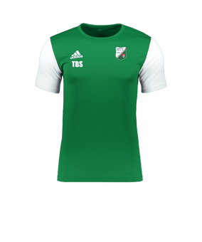 adidas Estro 19 Trikot kurzarm Grün Weiss