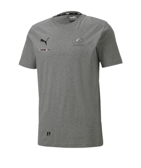 PUMA teamGOAL 23 Casuals Tee T-Shirt Grau F33