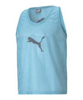 PUMA Markierungshemd Blau F41 - blau