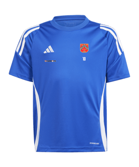 adidas Tiro 24 Trikot Kids Blau Weiss 