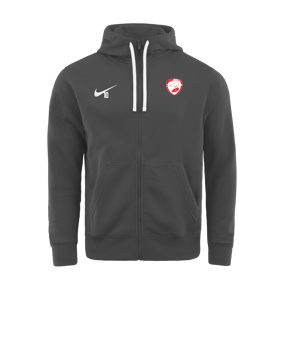 Veste à capuche Nike Park 20 Fleece grise F071 