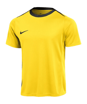 Nike Academy Pro 24 Trainingsshirt Gelb F719 - gelb