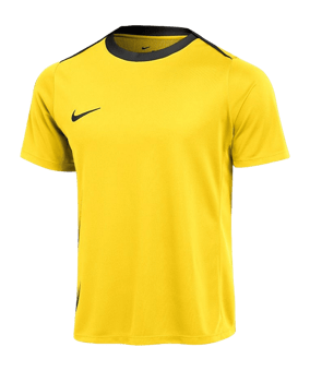Nike Academy Pro 24 Trainingsshirt Gelb F719