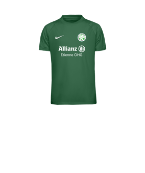 Nike Academy II Trikot Kids Grün F302