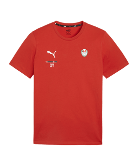 PUMA teamGOAL Casuals T-Shirt Rot F01