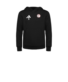 adidas Entrada 26 Sweatshirt à capuche Enfants Noir