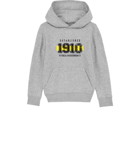Merch Mini Cruiser 2.0 Hoody Kids H. Grey | #established