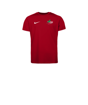 Nike Park VIII Maillot Enfants Rouge C657
