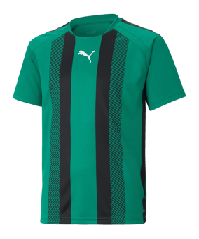 PUMA teamLIGA Striped Trikot Kids Grün Schwarz F05 - gruen