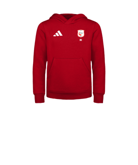 adidas Entrada 26 Sweatshirt à capuche Enfants Rouge