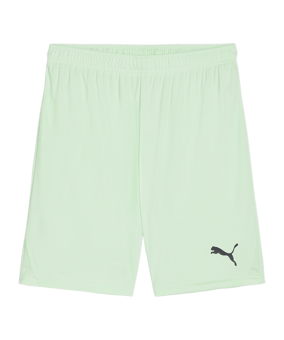 PUMA teamGOAL Short Grün Schwarz F60 - gruen