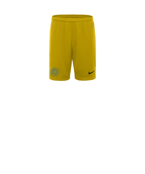Nike Park III Short Kids Gelb F719